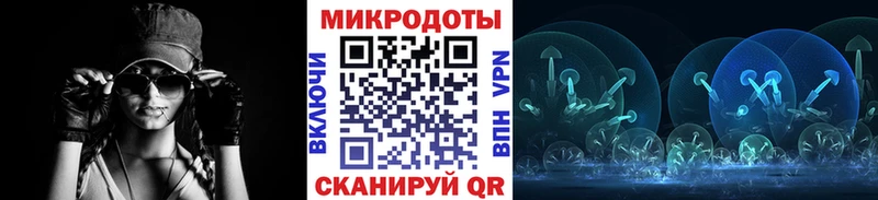 Купить где  Бежецк  Галлюциногенные грибы Cubensis 